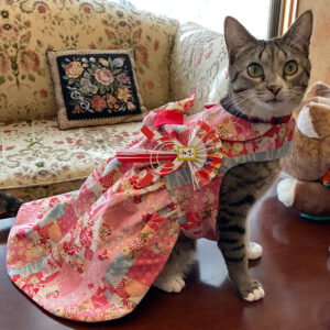Kimono pour chat – Thème des cerisiers