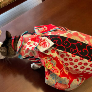 Kimono pour chat – Patchwork de motifs japonais